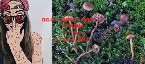 apvp Карталы
