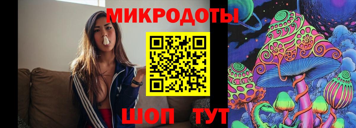 Псилоцибиновые грибы Psilocybe Ухта