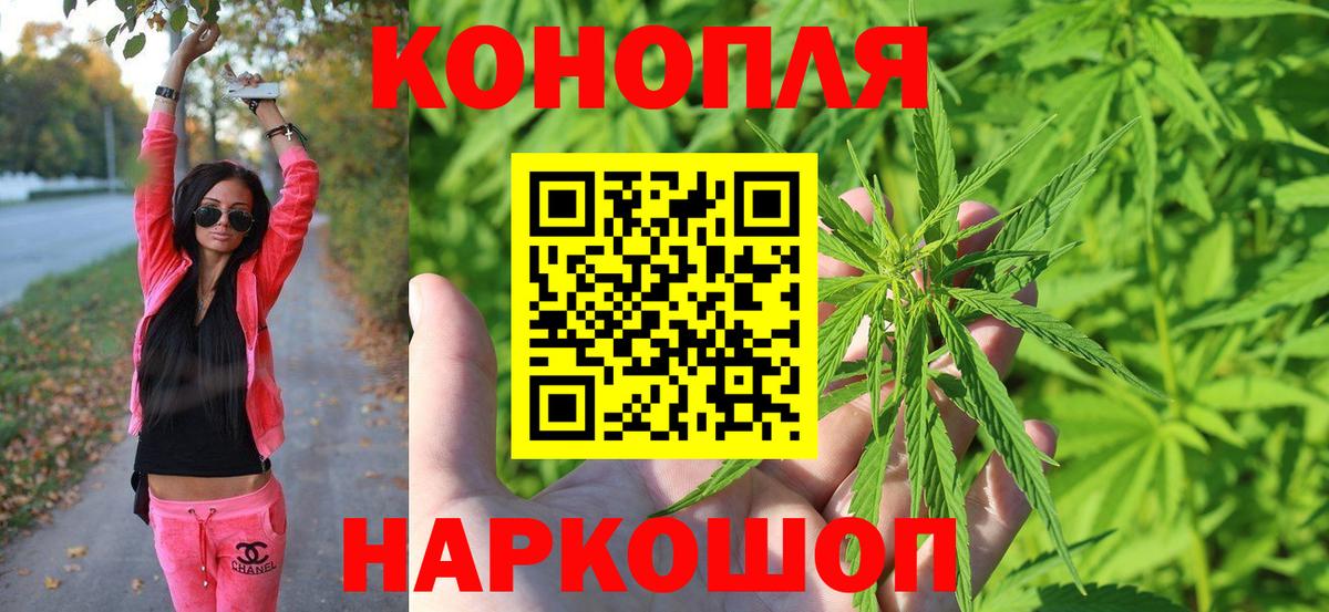 Бошки Шишки семена Ухта